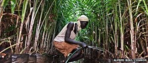 Ethiopian Abago could lose his village to a foreign-owned oil palm plantation