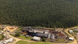PALMCI plantation, operation and plant at Toumanguié, Côte d’Ivoire. (Photo: Camille Millerand/JA) -
