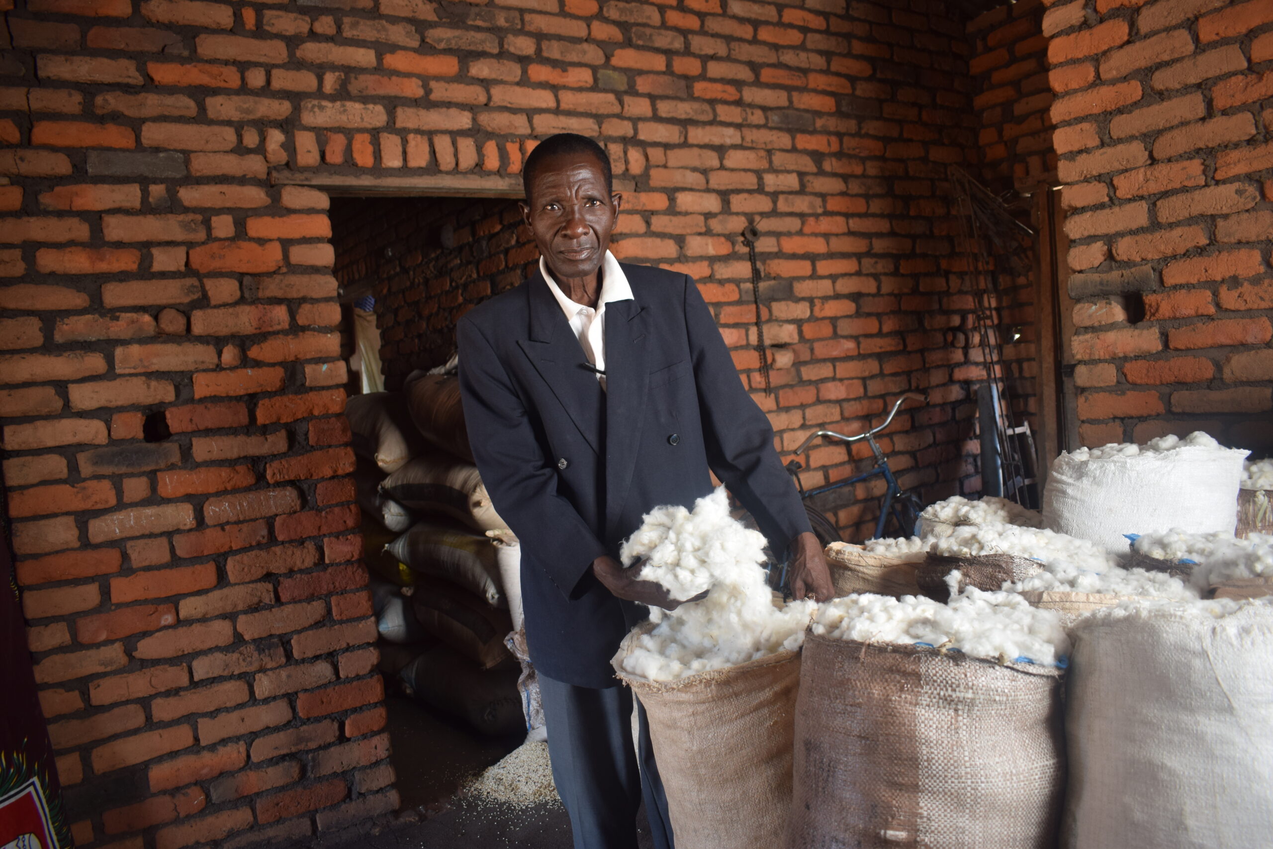 A cotton farmer from Malawi shows off his bumper harvest from Bt cotton - Photo by Suzgo Chitete