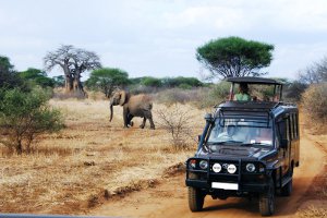 Tanzania-is-looking-to-diversify-its-tourism-sector-from-the-traditional-focus-on-wildlife