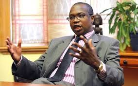 The Chief Economist and Vice-President Mthuli Ncube