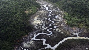 A creek in the Niger Delta devastated by oil spills - but Shell insists it is criminals and not oil companies who are the main culprits