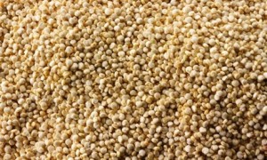 Can fonio be the quinoa slayer? Photograph: Paul Williams/Alamy