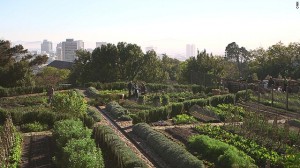 In the last few years, Cape Town has witnessed the proliferation of hundreds of community gardens and urban farms. Abalimi is one organization that has worked to link the city's new micro-farmers with the types of middle-earners eager to fill their cupboards with local, organic produce.