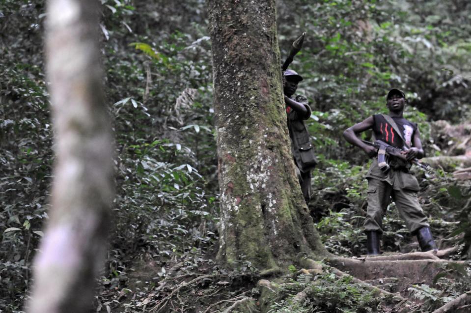 Rwandan Hutu FDLR rebels stand guard in a dense forest on February 6, 2009 outside Pinga, 150 km northwest of Goma in DR Congo (AFP Photo/Lionel Healing)