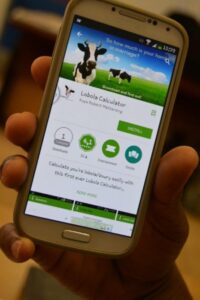 Try this Lobola Calculator to see how many cows you are worth 
