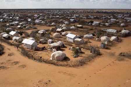 An aerial view shows an extension of the Ifo camp, one of the several refugee settlements in Dadaab, Garissa County, northeastern Kenya, October 7, 2013. REUTERS/Siegfried Modola