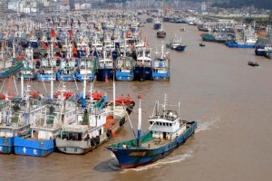 The number of Chinese-flagged or Chinese-owned fishing boats operating in Africa has soared in recent decades, from just 13 in 1985 to 462 in 2013, Greenpeace says (AFP Photo/)