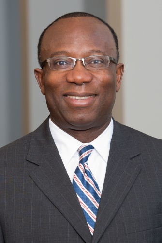 Dr. Linus Igwemezie, Head of the Novartis Malaria Initiative
