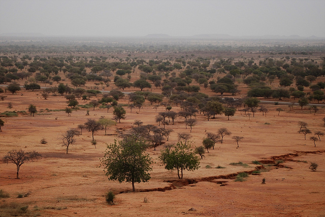 Would Nigeria be better served focusing on the Sahel than getting involved in Saudi Arabia’s broader alliance? Credit: Daniel Tiveau/CIFOR.
