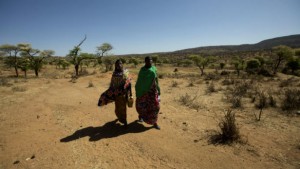 Women travel the arid landscape of Ethiopia. The U.S. Agency for International Development has deployed a disaster assistance response team — or DART — to the country, where El Nino-induced weather extremes are wreaking havoc on livelihoods, food and water systems. Photo by: Morgana Wingard / USAID / CC BY-NC