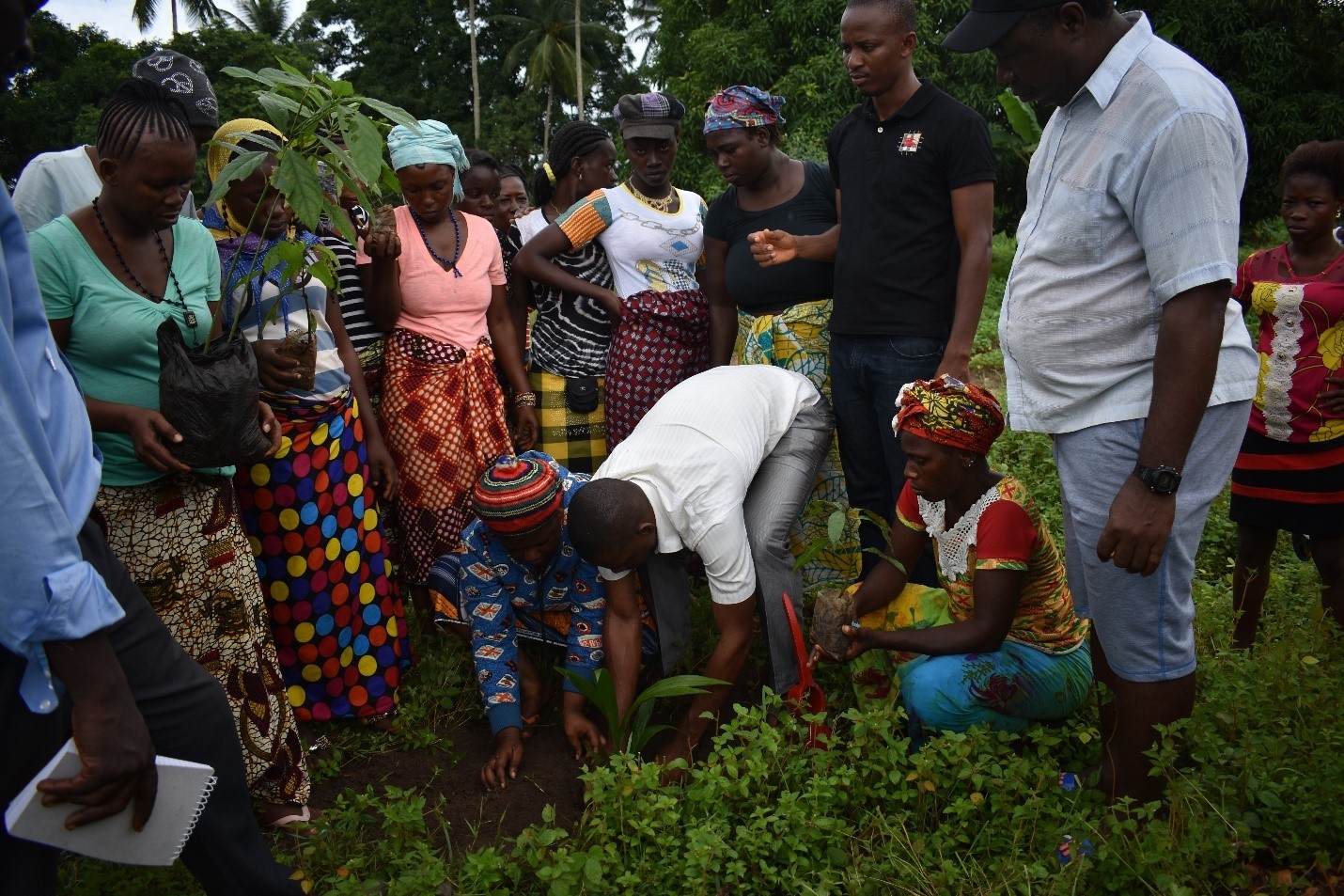 Locals of Fogbo community planting a tree seedling whilst the EPA officer and the Head man looks on